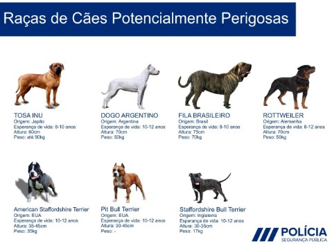 Imagem FORMAÇÃO OBRIGATÓRIA – DETENTORES DE CÃO PERIGOSO OU POTENCIALMENTE PERIGOSO.  